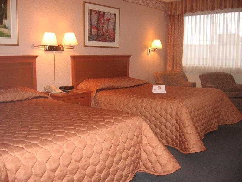 Hotel Universel מונטריאול חדר תמונה